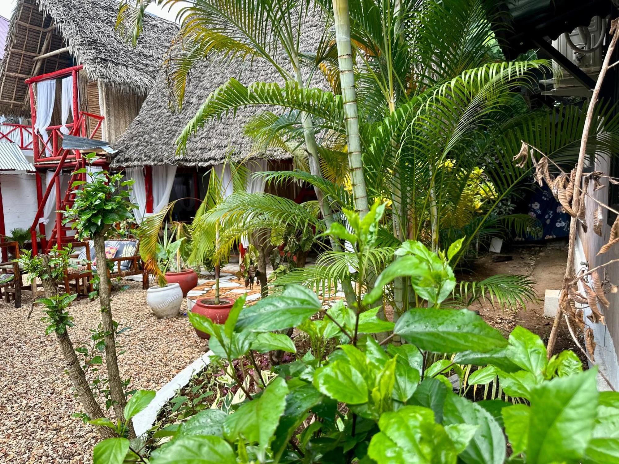 Hotel Pole Pole House Nungwi Esterno foto